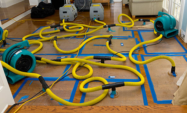 Professional Sewage Cleanup technician working in Lincoln, ME